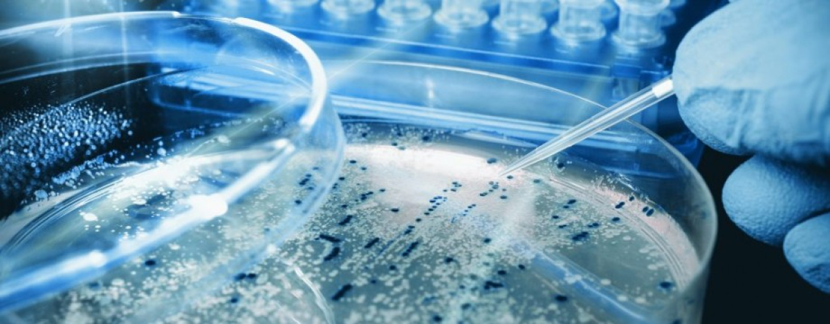 Gənc alim: Dövlət dəstəyi, qrant proqramları gənc alimləri tədqiqatlar aparmağa həvəsləndirir