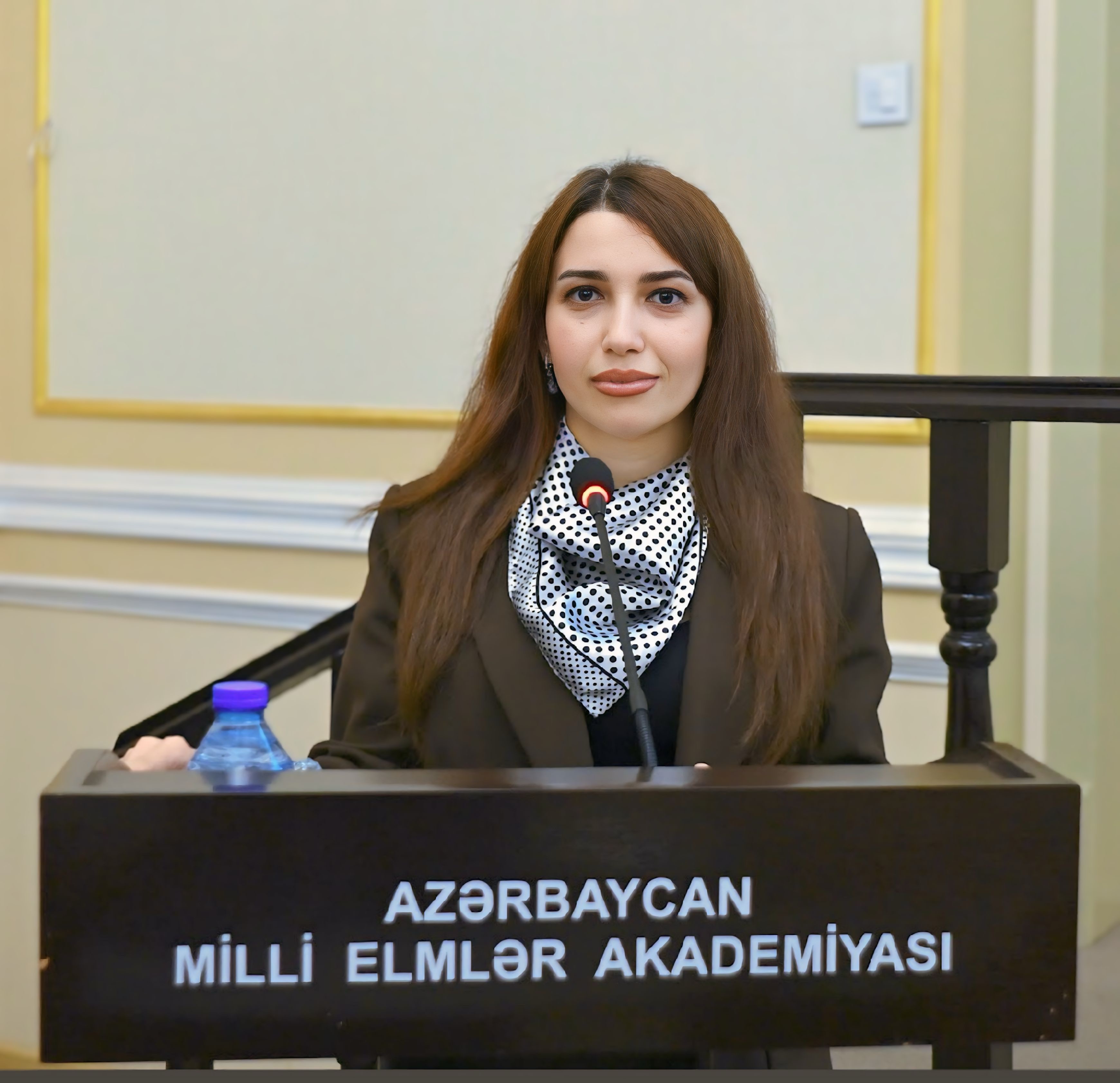 Vətən müharibəsi və Azərbaycan gəncliyi: Milli birlikdən tarixi Zəfərə
